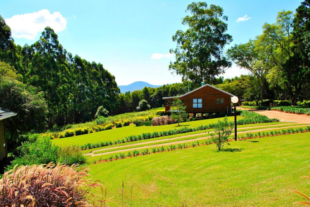 Forest View Cabins Tzaneen Exteriör bild