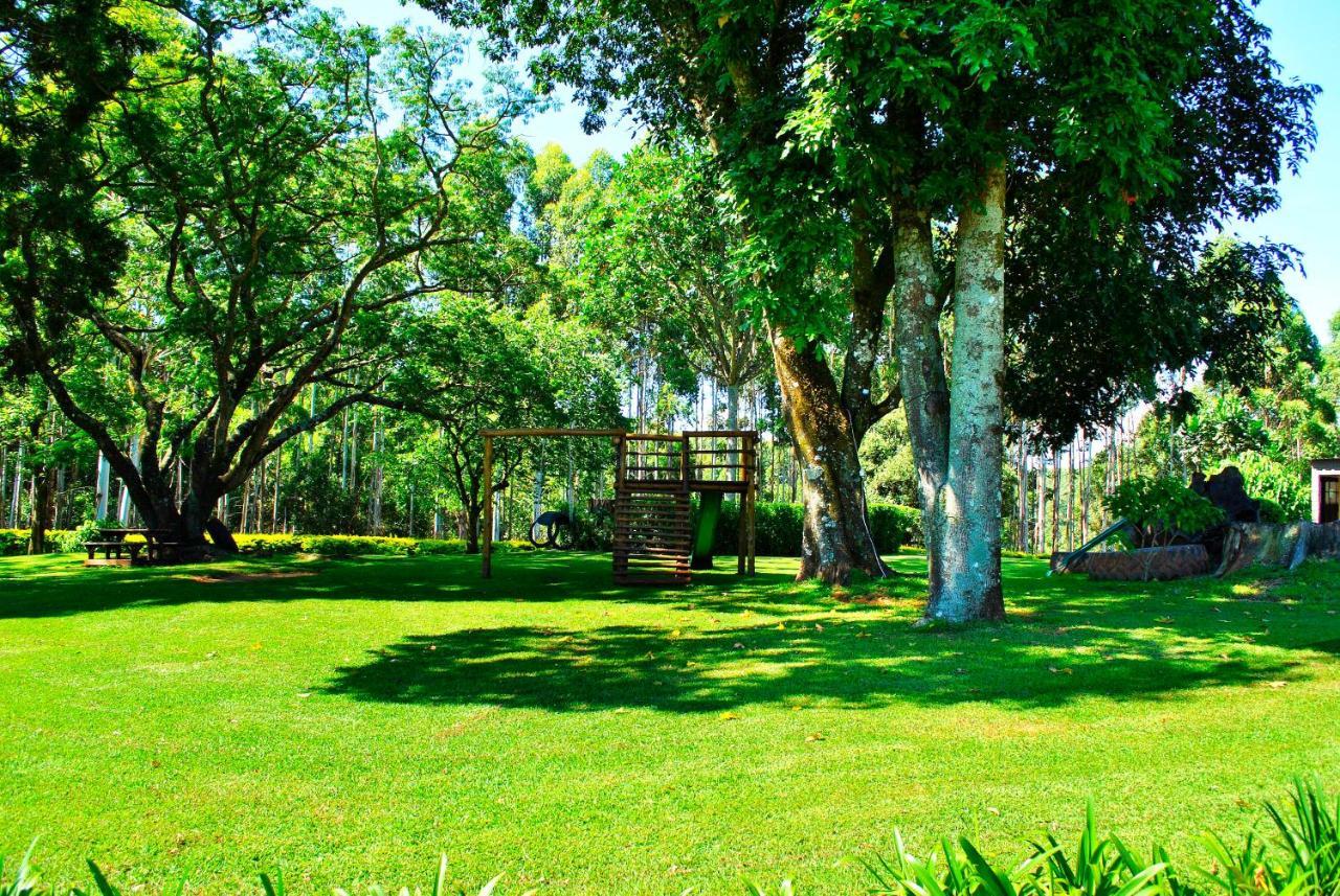 Forest View Cabins Tzaneen Exteriör bild