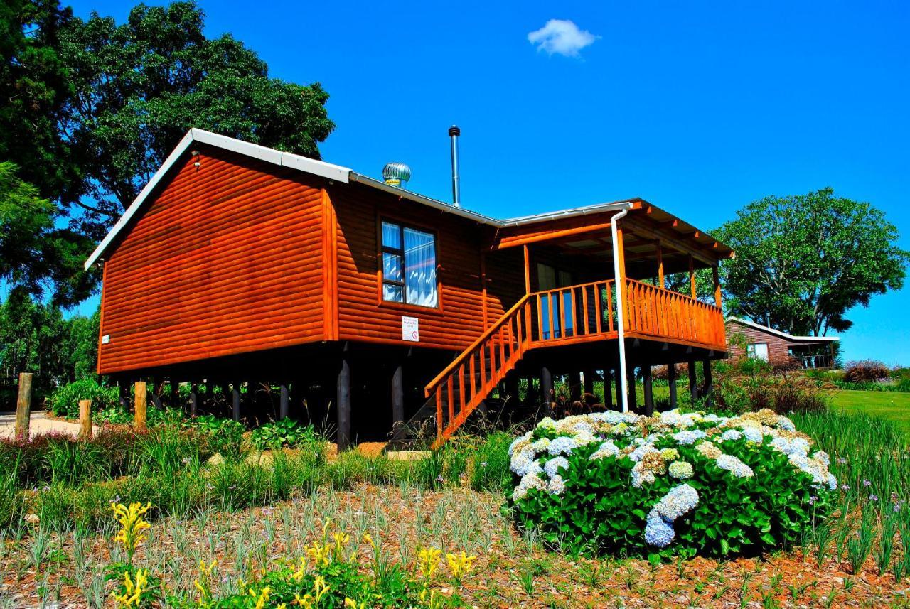 Forest View Cabins Tzaneen Exteriör bild