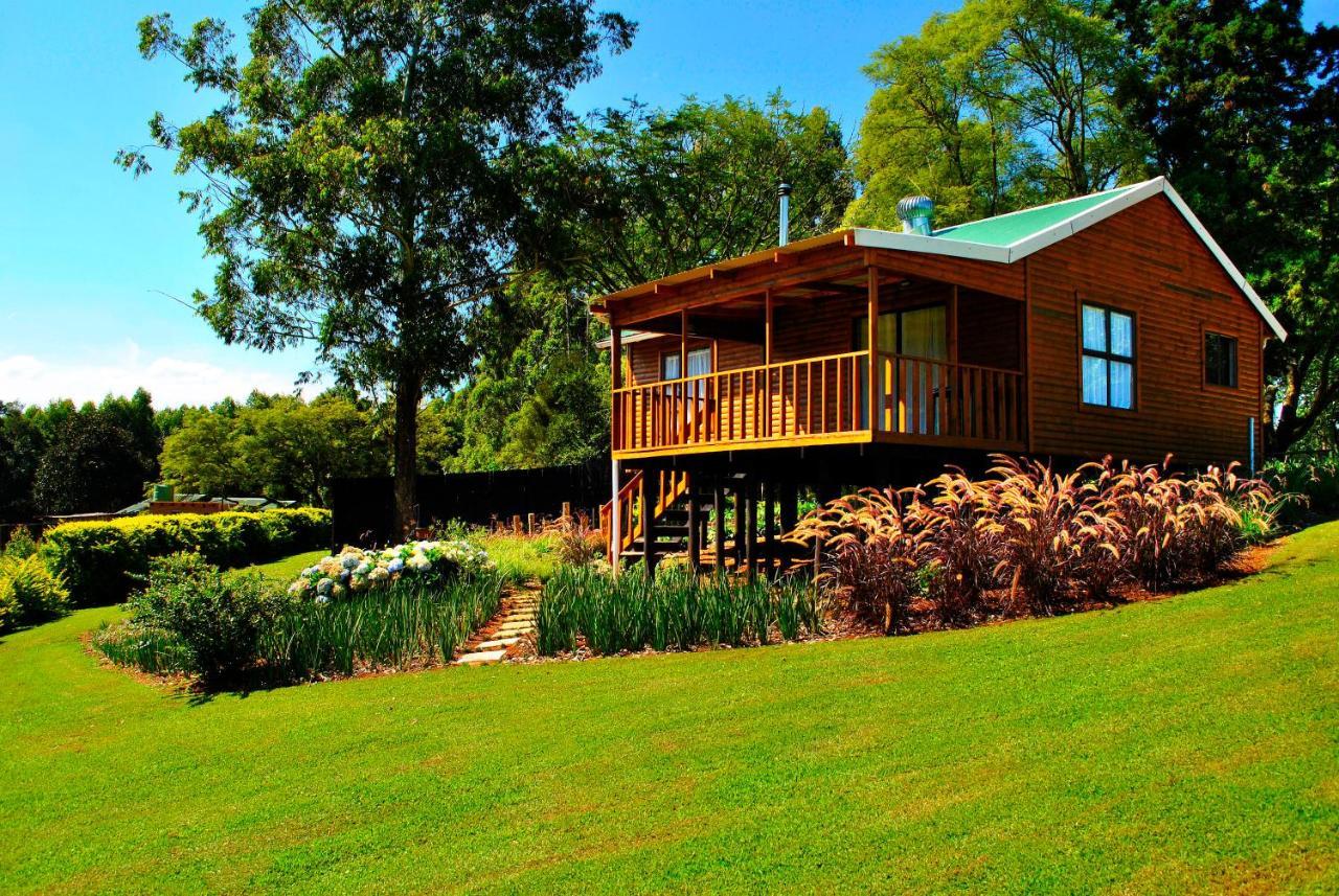 Forest View Cabins Tzaneen Exteriör bild