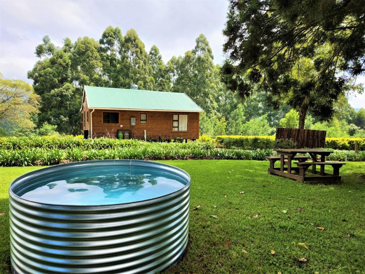 Forest View Cabins Tzaneen Exteriör bild