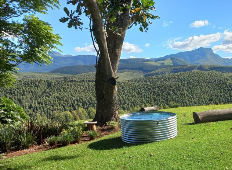 Forest View Cabins Tzaneen Exteriör bild